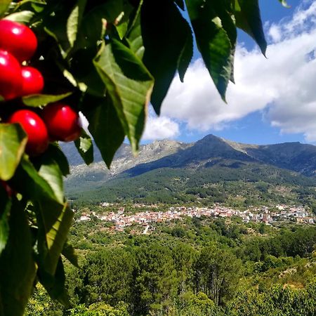 Albareilla By #Cherrygredos الأرينال المظهر الخارجي الصورة