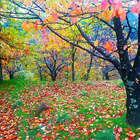 Albareilla By #Cherrygredos الأرينال المظهر الخارجي الصورة