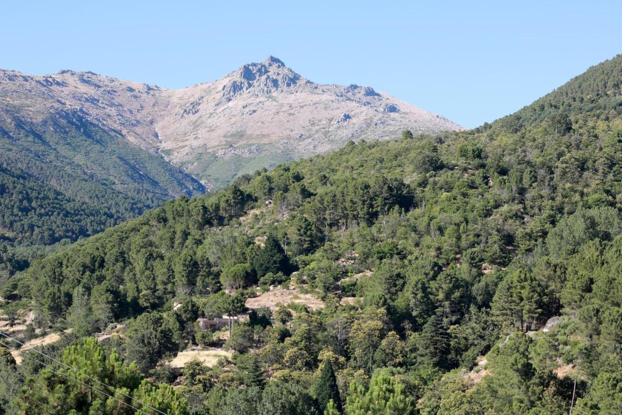 Albareilla By #Cherrygredos الأرينال المظهر الخارجي الصورة