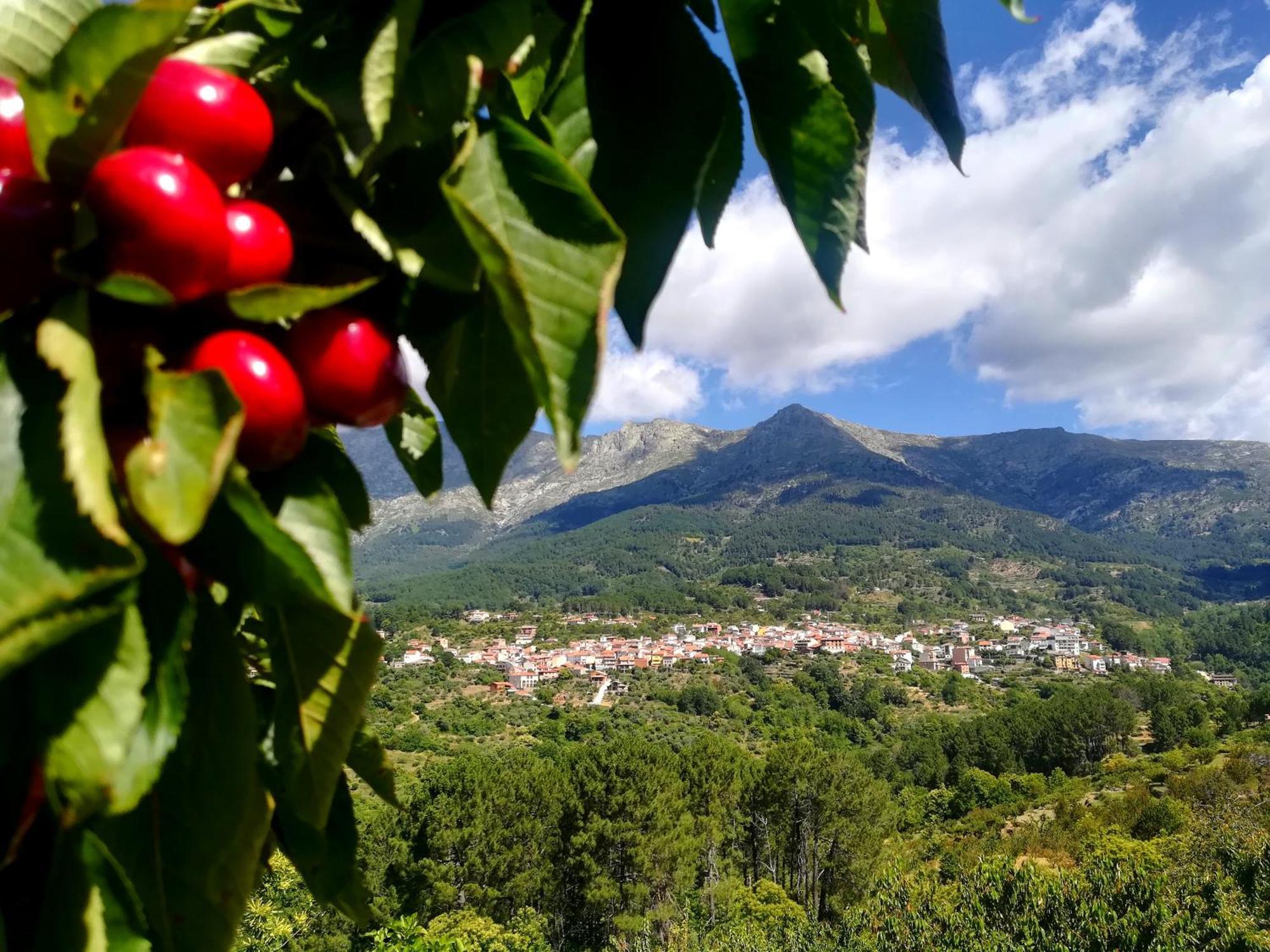 Albareilla By #Cherrygredos الأرينال المظهر الخارجي الصورة