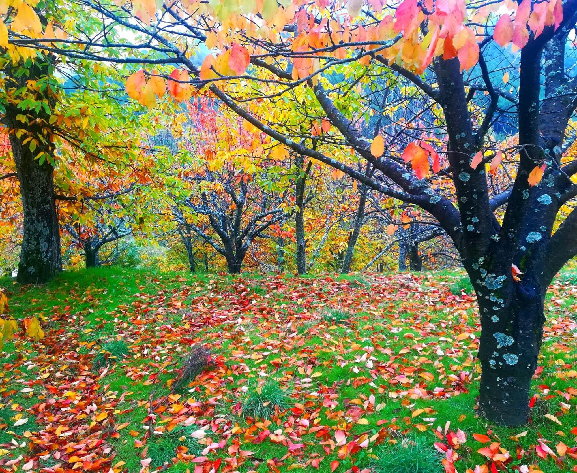 Albareilla By #Cherrygredos الأرينال المظهر الخارجي الصورة