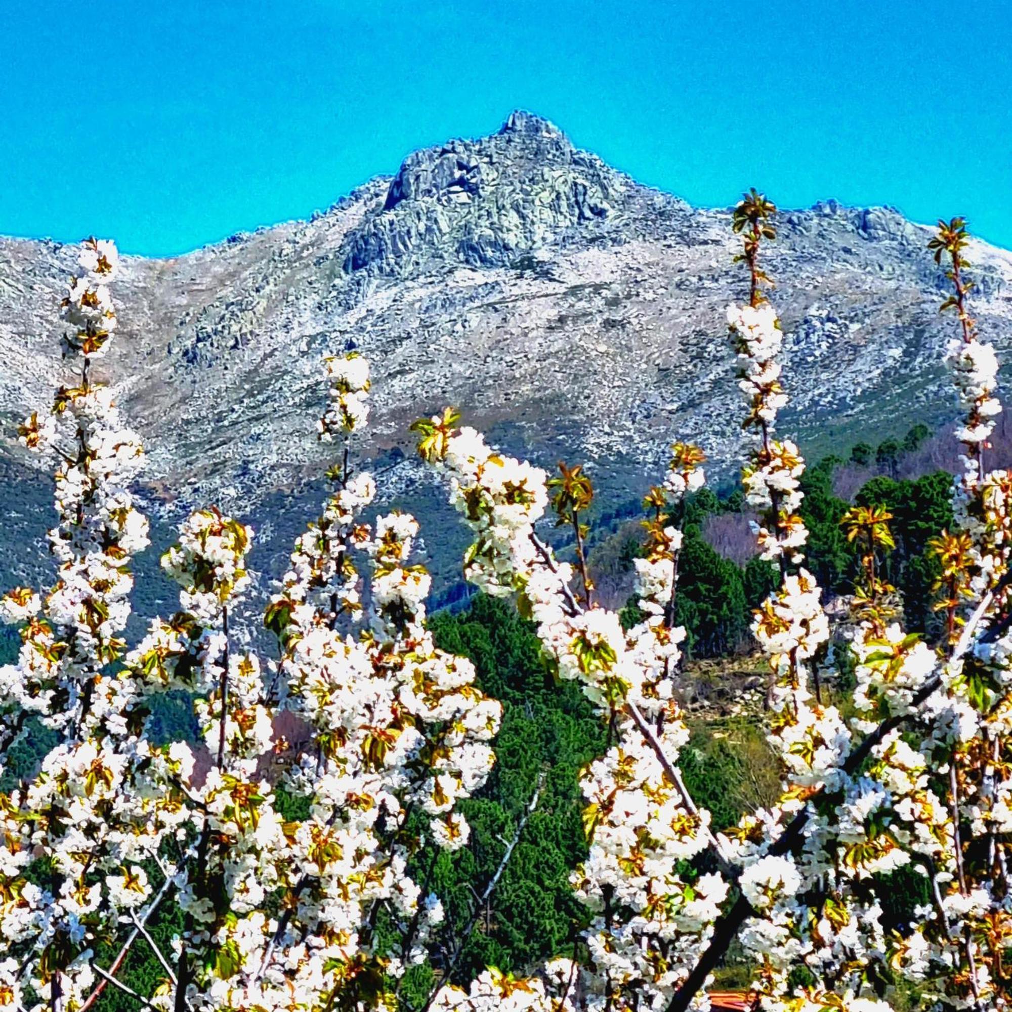 Albareilla By #Cherrygredos الأرينال المظهر الخارجي الصورة