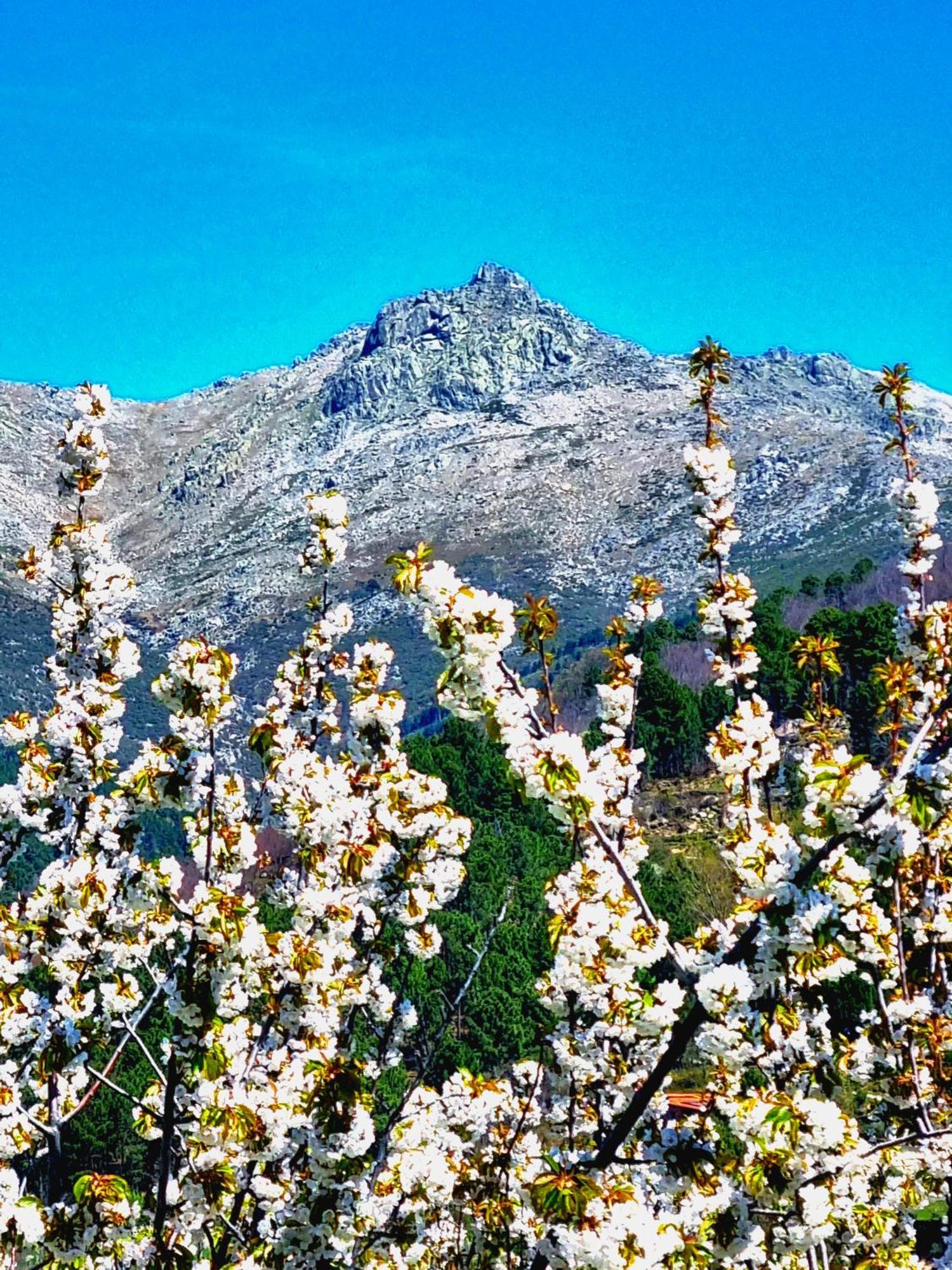 Albareilla By #Cherrygredos الأرينال المظهر الخارجي الصورة