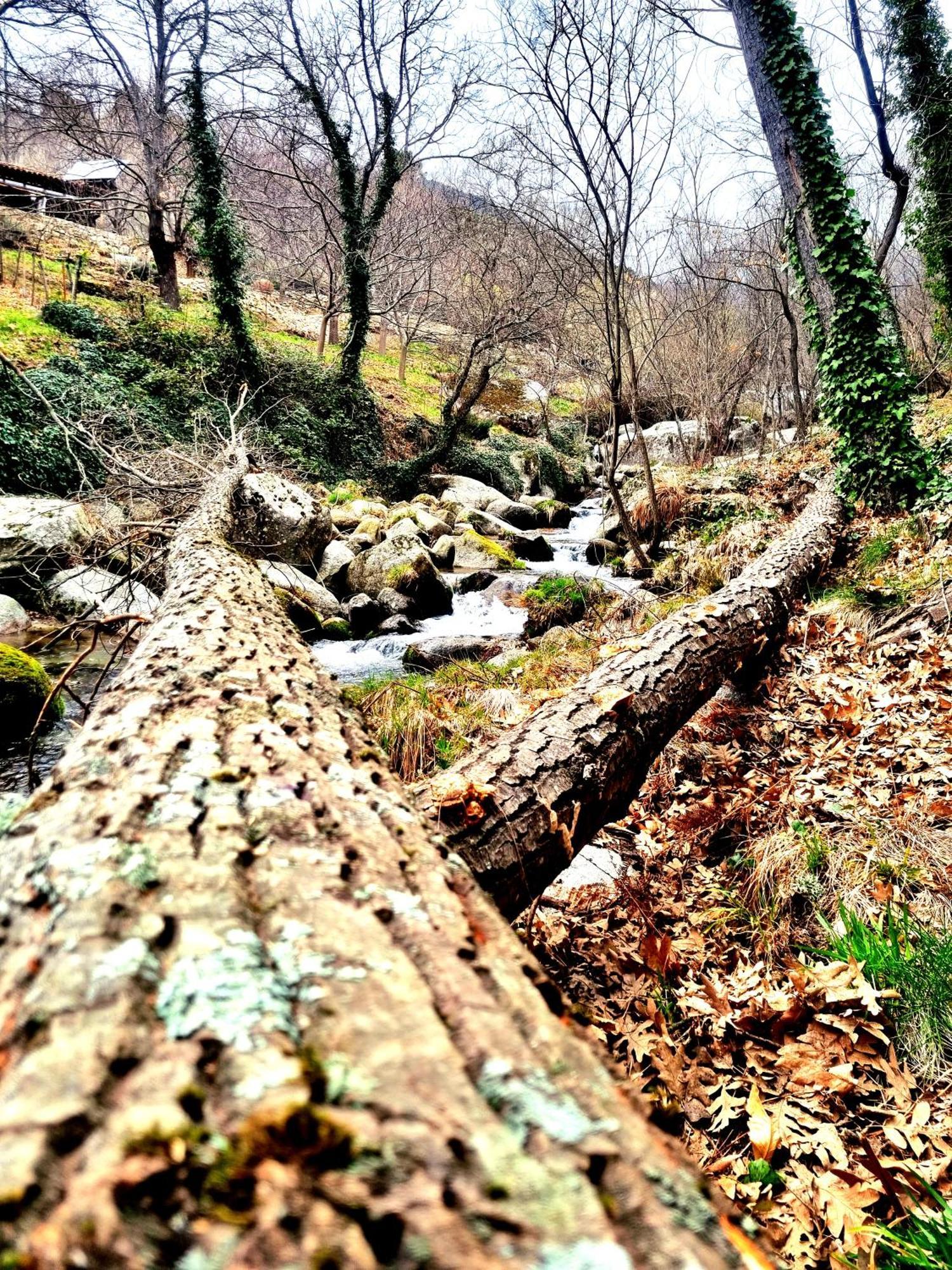 Albareilla By #Cherrygredos الأرينال المظهر الخارجي الصورة